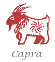 Zodiaco Cinese - Capra